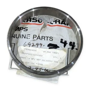 Ingersoll Rand 69914695 Flowserve Pump