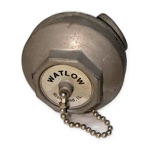 Watlow ARGBT0F Temperature Probe Transmitter