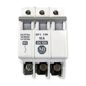 Allen-Bradley 1492-CB2DG100 DC Circuit Breaker