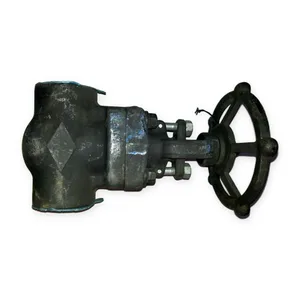 Crane Y6261305146 Gate Valve
