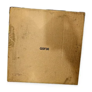 GSF30 IP54 Enclosure Filter Fan
