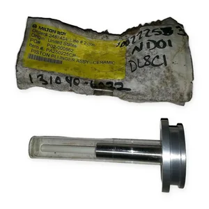 Milton PA250225CR Plunger Assembly Metering Pump