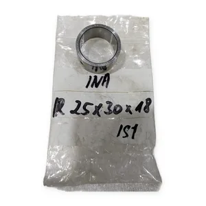 INA Bearing
