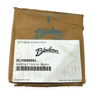 Blackmer 898951 Maintenance Kit for Pumps