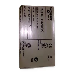 Schneider Electric TSXDEY32D2K Digital Input Module