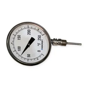 50CI60L025 Ashccroft 10372993-2 – actual item, photo 1 of 6