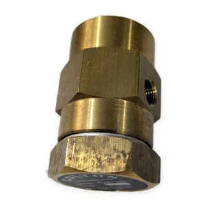CVB-200 Colton Brass Check Valve – actual item, photo 1 of 5