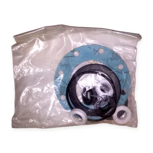 DN 50 Gasket