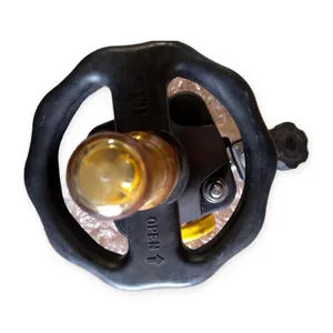 ITT PAS Sanitary Diaphragm Valve