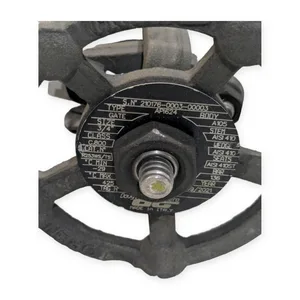 Douglas Chero R253WS/TS Forged Steel Gate Valve