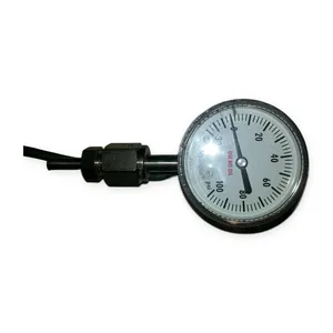 Mykrolis IPT122 30-0-100 PSI Type 9 VCR SS Gauge