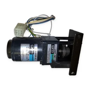 Oriental 2IK6RGN-A Motor