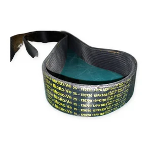 25-120720 Serpentine Belt
