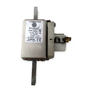 Bussmann 170M3743 Semiconductor Fuse – actual item, photo 1 of 6