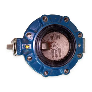 230237 Norriseal 616 Butterfly Valve – actual item, photo 1 of 4