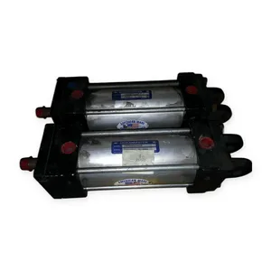 Duramaster DS3206MP2B1 Pneumatic Cylinder