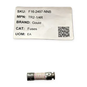 Gould TR2-1/4R Fuse