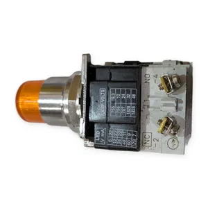 Industrial Pilot Light 4718 Series D2 250V Orange Lens 30mm Panel Mount OEM Part