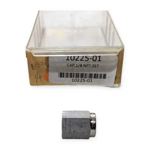 2/ORDER Steel Pipe Cap SS Plug Fitting – actual item, photo 1 of 6