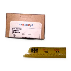Mersen GW15 V212860 Fuse – actual item, photo 1 of 3