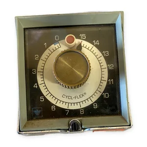 Eagle Signal HP514A616 Cycl-Flex Reset Timer
