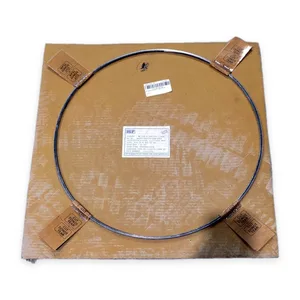 General Electric 446857448/29-JUN-2018 IGP Spiral Wound Gasket
