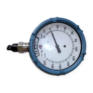 Emerson WPG45XI5C11A000200 Wireless HART Pressure Gauge