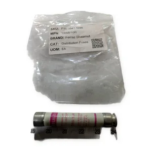 Mersen Gould TRS Time Delay Fuse