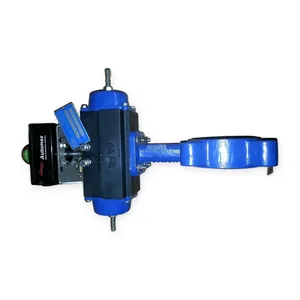 Flowserve XNWS2AAU2M114 Deltorq 75 Pneumatic Actuator