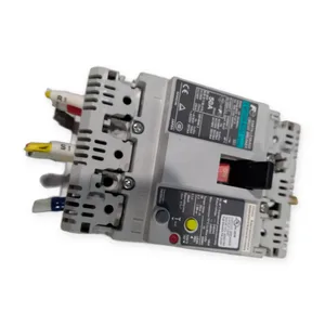 EW50RAGU FE Earth Leakage Circuit Breaker