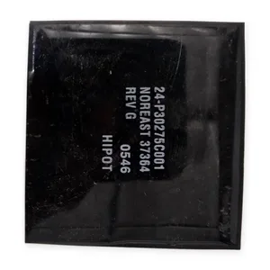 Noreast 24-P30275C001 Potted Module Industrial Control