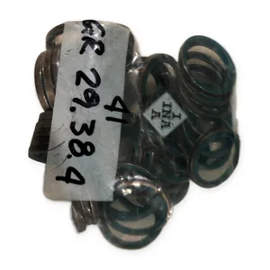INA GR29.38.4 Precision Linear Bearing