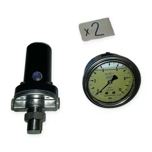 N26010068 Regulating Valve with Gauge